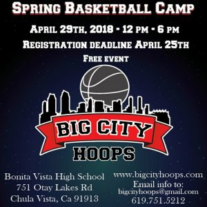A poster for the big city hoops basketball camp.