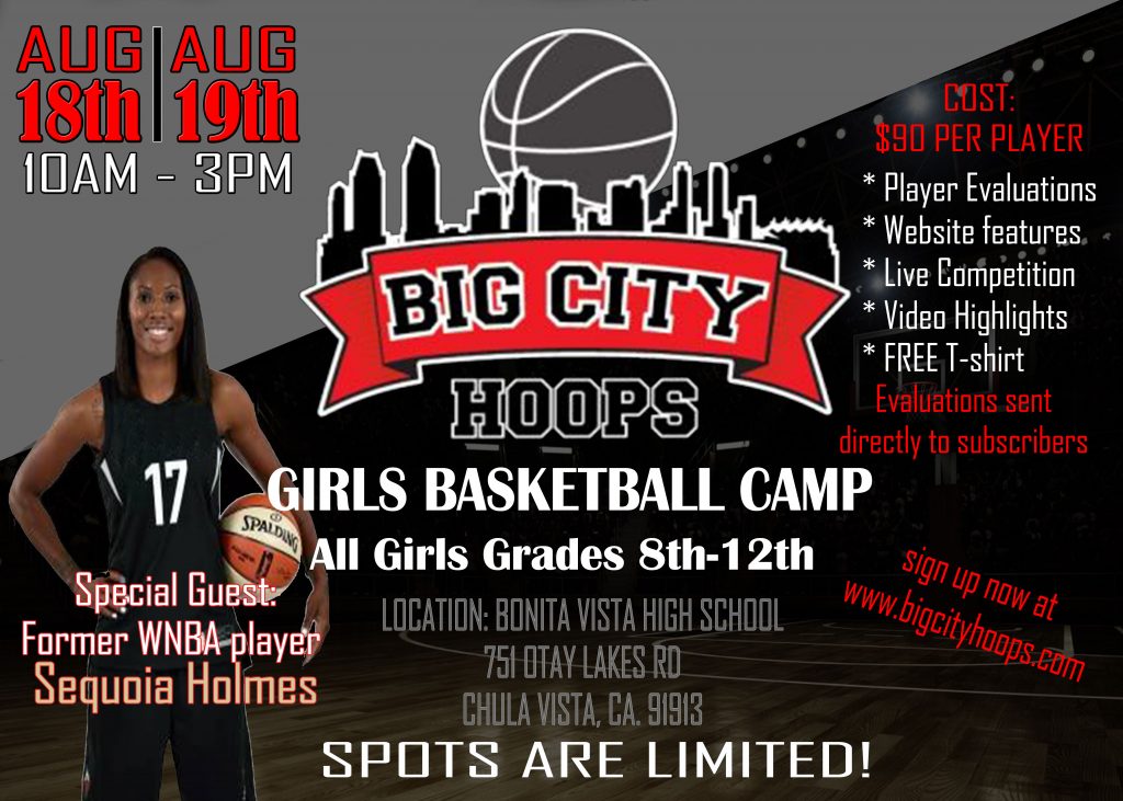 A poster for the big city hoops girls basketball camp.